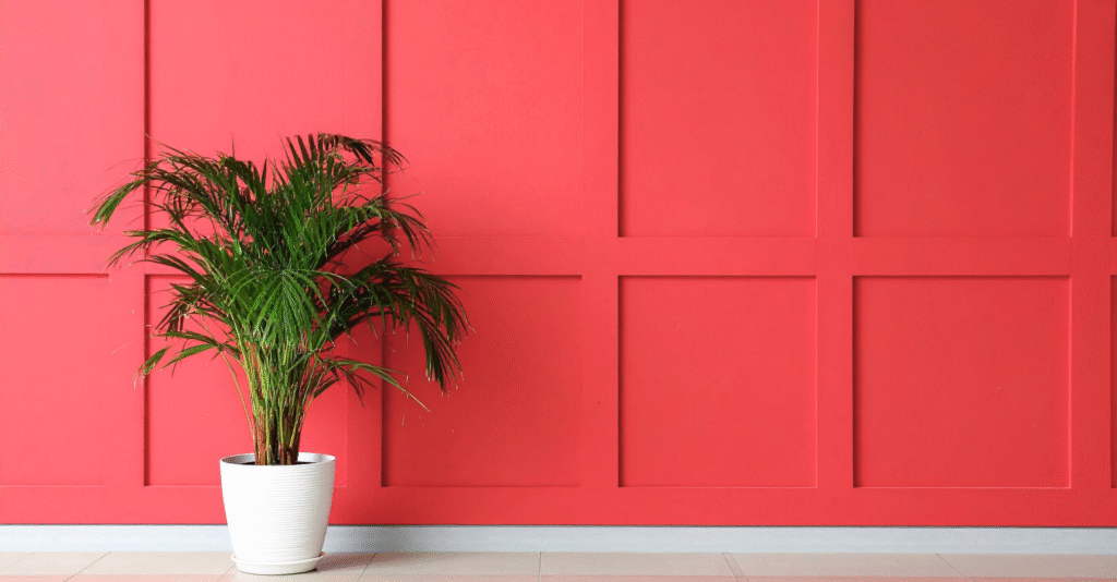 Décoratrice Prix Intérieur decoserotonine.fr