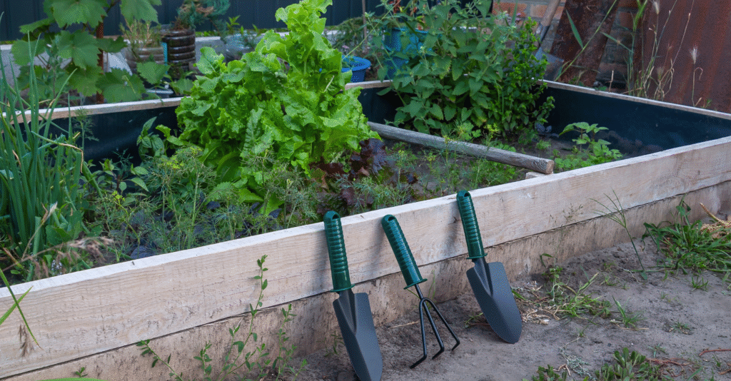 Jardipedia : le site pour apprendre à jardiner simplement et durablement Jardipedia