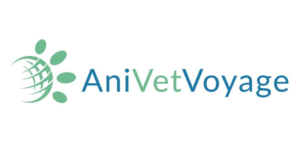 Anivetvoyage : tout ce qu’il faut savoir pour voyager sereinement avec votre animal Anivetvoyage