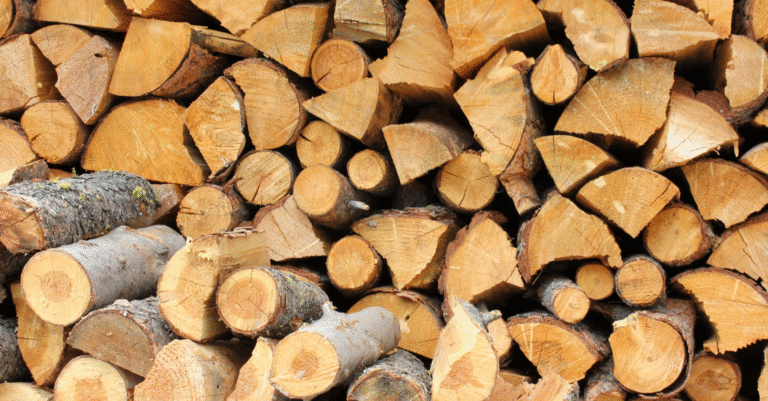 Montasdebois